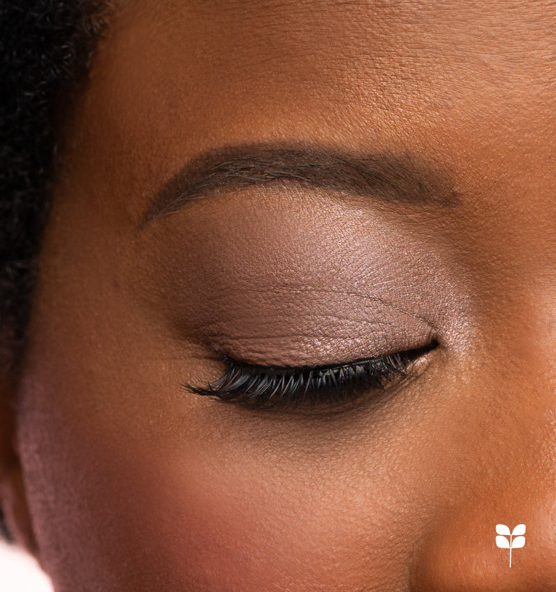 3 Beginner Friendly Eyeshadow Looks with Red Aspen Pressed Powders