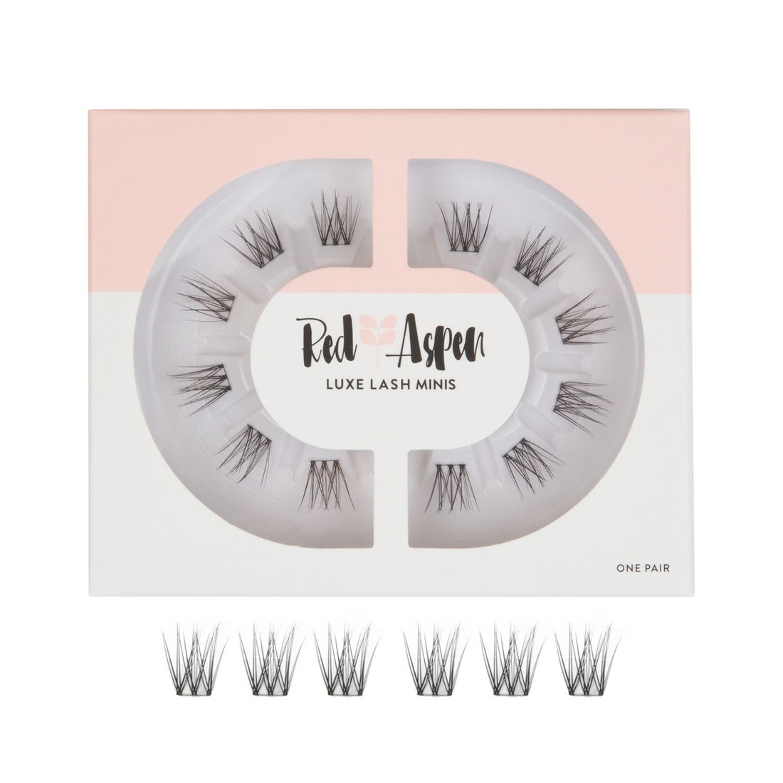 Emmy Lash