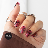 All American Cowgirl Bundle