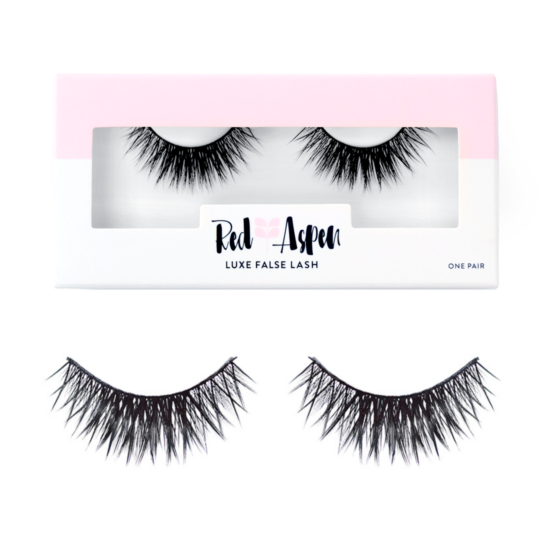 Gigi Lash