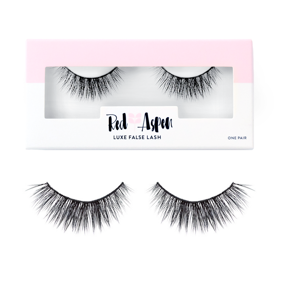 Miss Lash