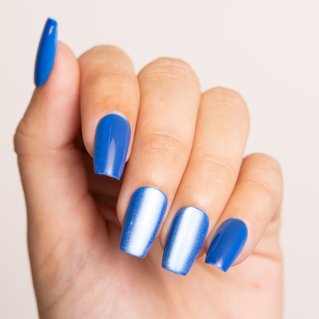 Picking Blueberries with Bridie