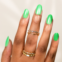 Succulents and Palms, Soleil