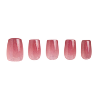 Winslet's Winter Rose