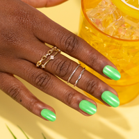 Succulents and Palms, Soleil