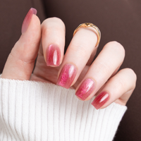 Winslet's Winter Rose