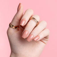 Chic and Timeless, Constance