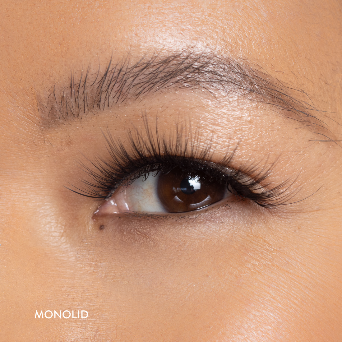 Maive Lash