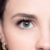 Addison Lash