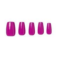 Antoinette's Lessons in Happiness