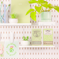 Laura's Lessons in Growth