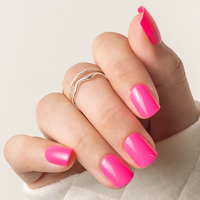 Hollis's Lessons in Happiness