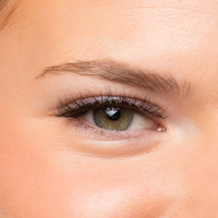 Lessons in Dreaming Lash