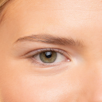 Lessons in Dreaming Lash