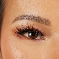 Lessons In Love Lash