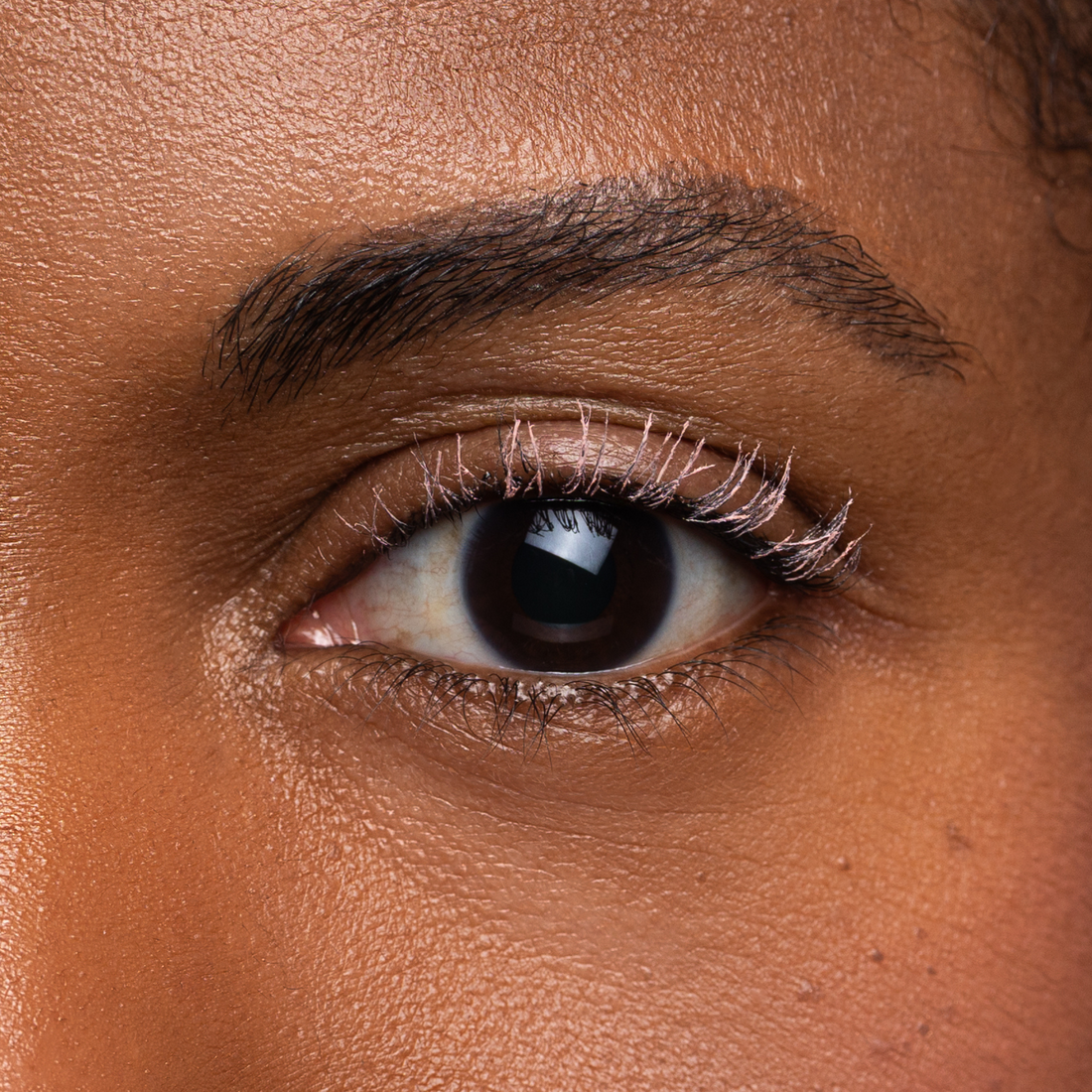 Prime & Define Dannie Lash Primer
