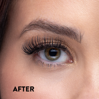 Lessons in Giving Lash