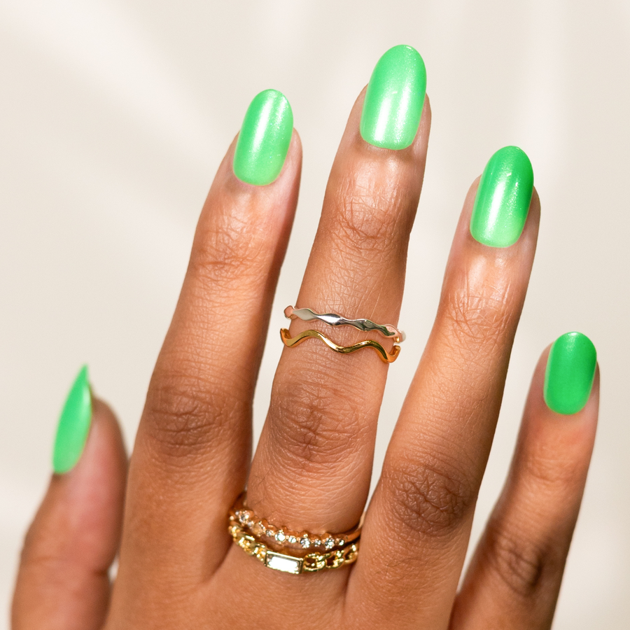 Succulents and Palms, Soleil