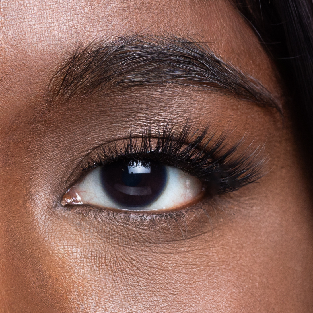 Talented Lash