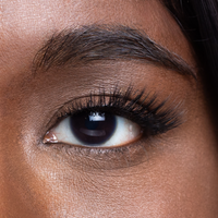 Talented Lash