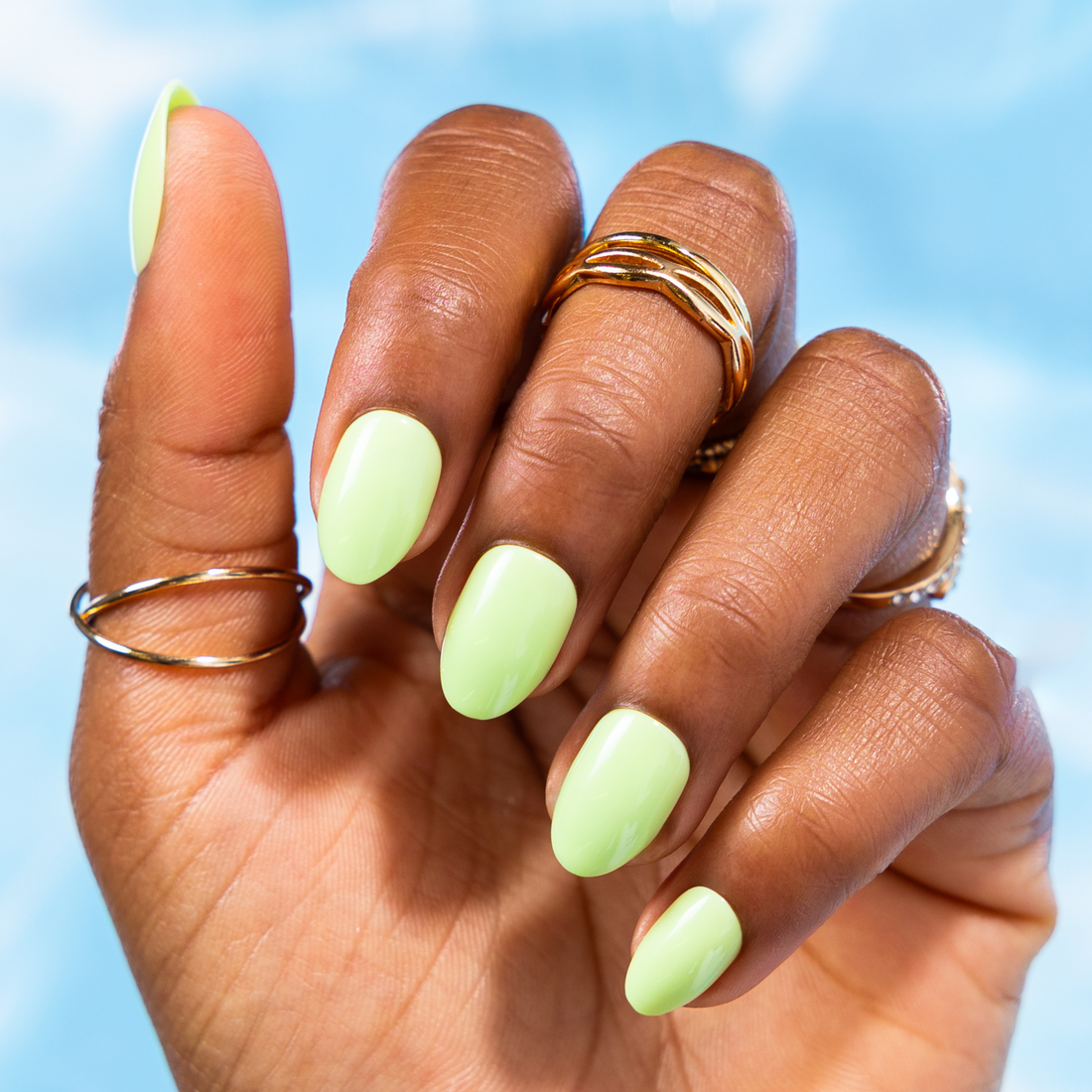 Forever Summer, Shandi