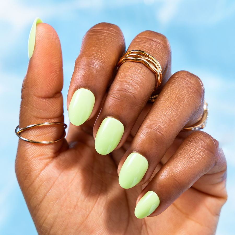 Forever Summer, Shandi