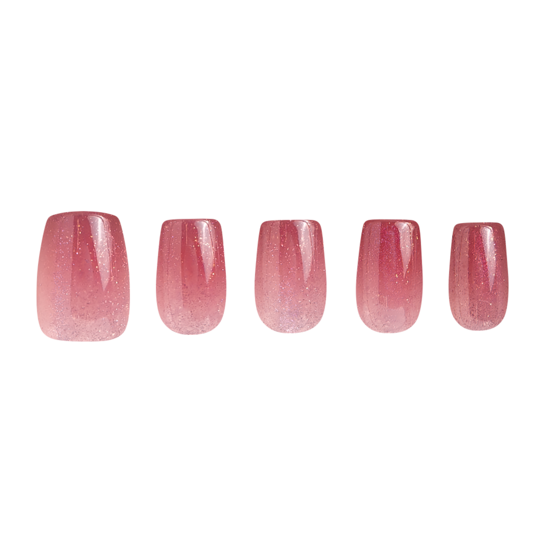 Winslet's Winter Rose