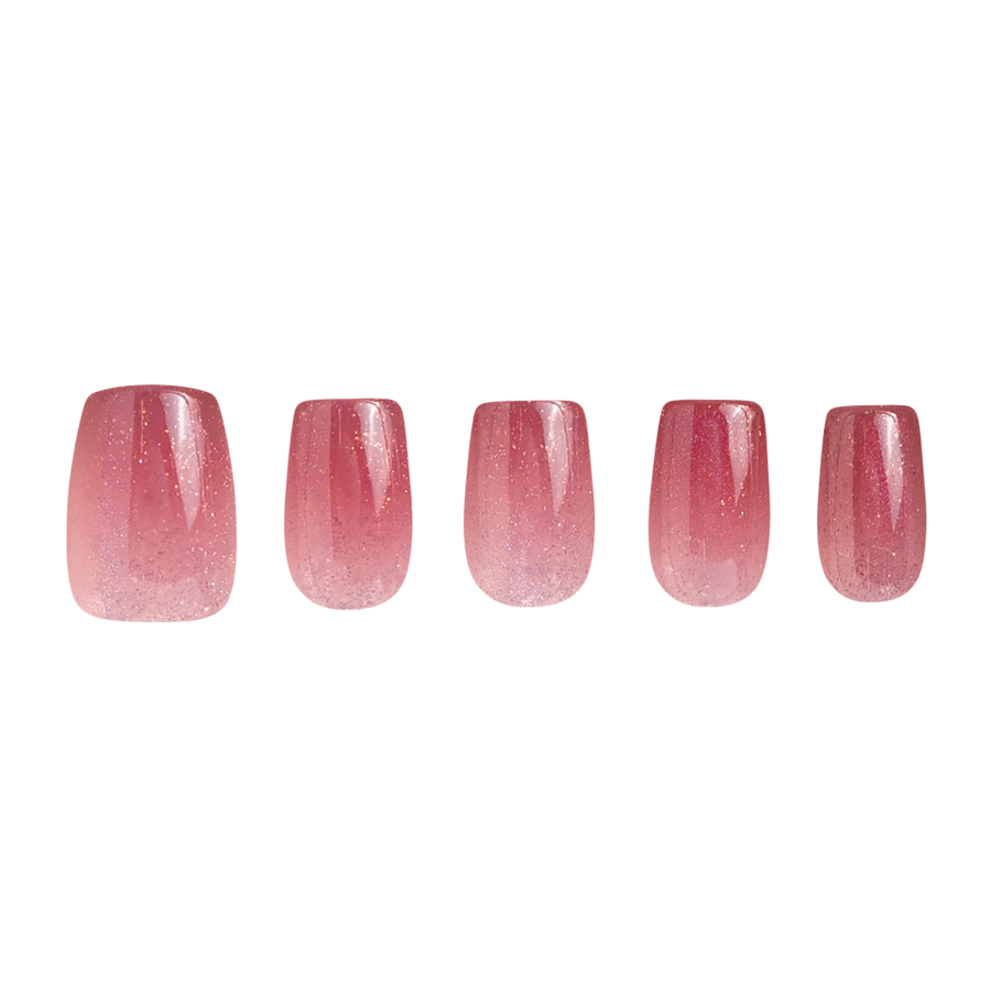 Winslet's Winter Rose