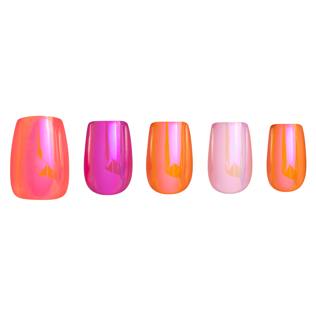 Mallory's Monarch Moment