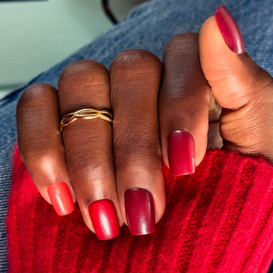 Poinsettia Pop, Pierette