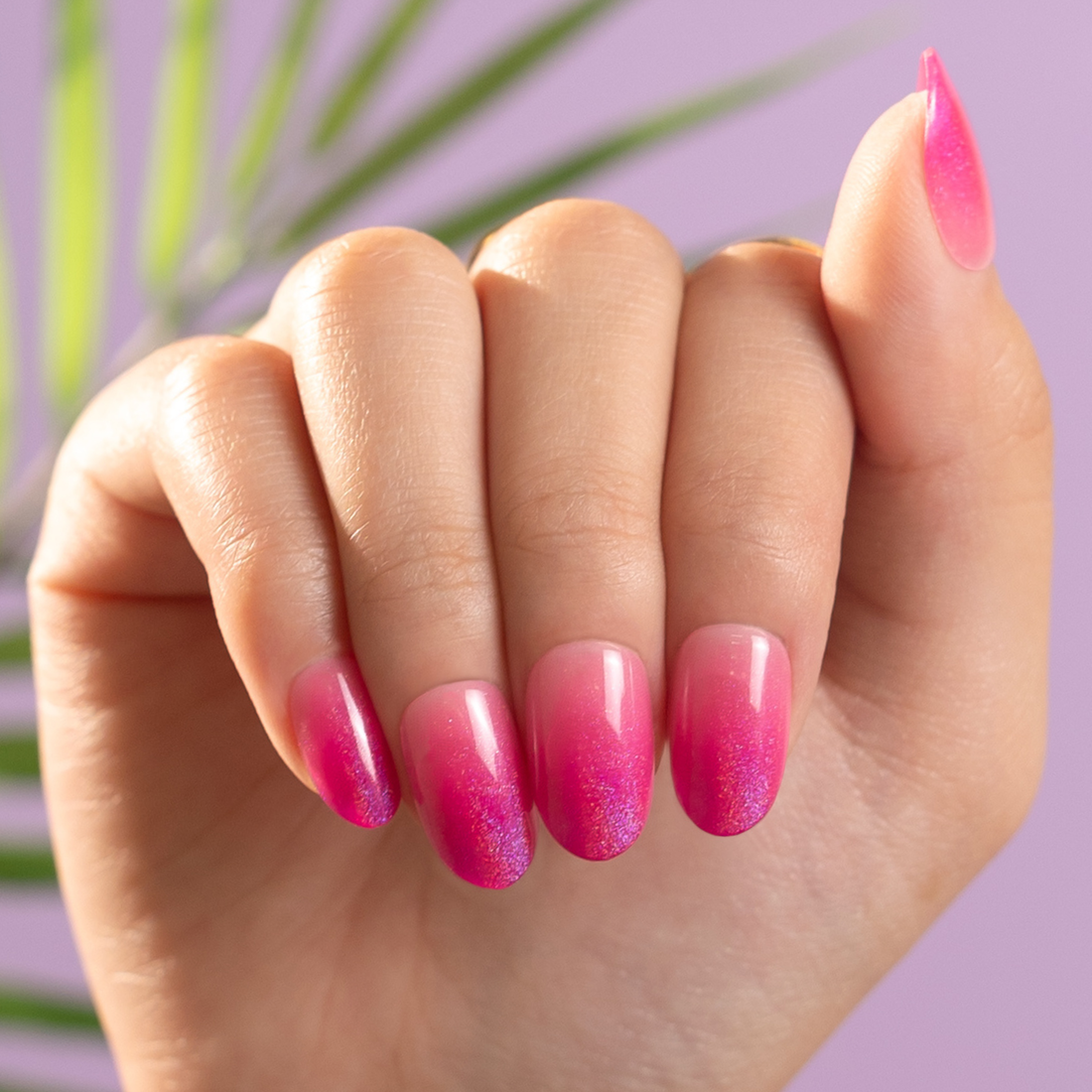 Lottie's Pink Leg Warmers