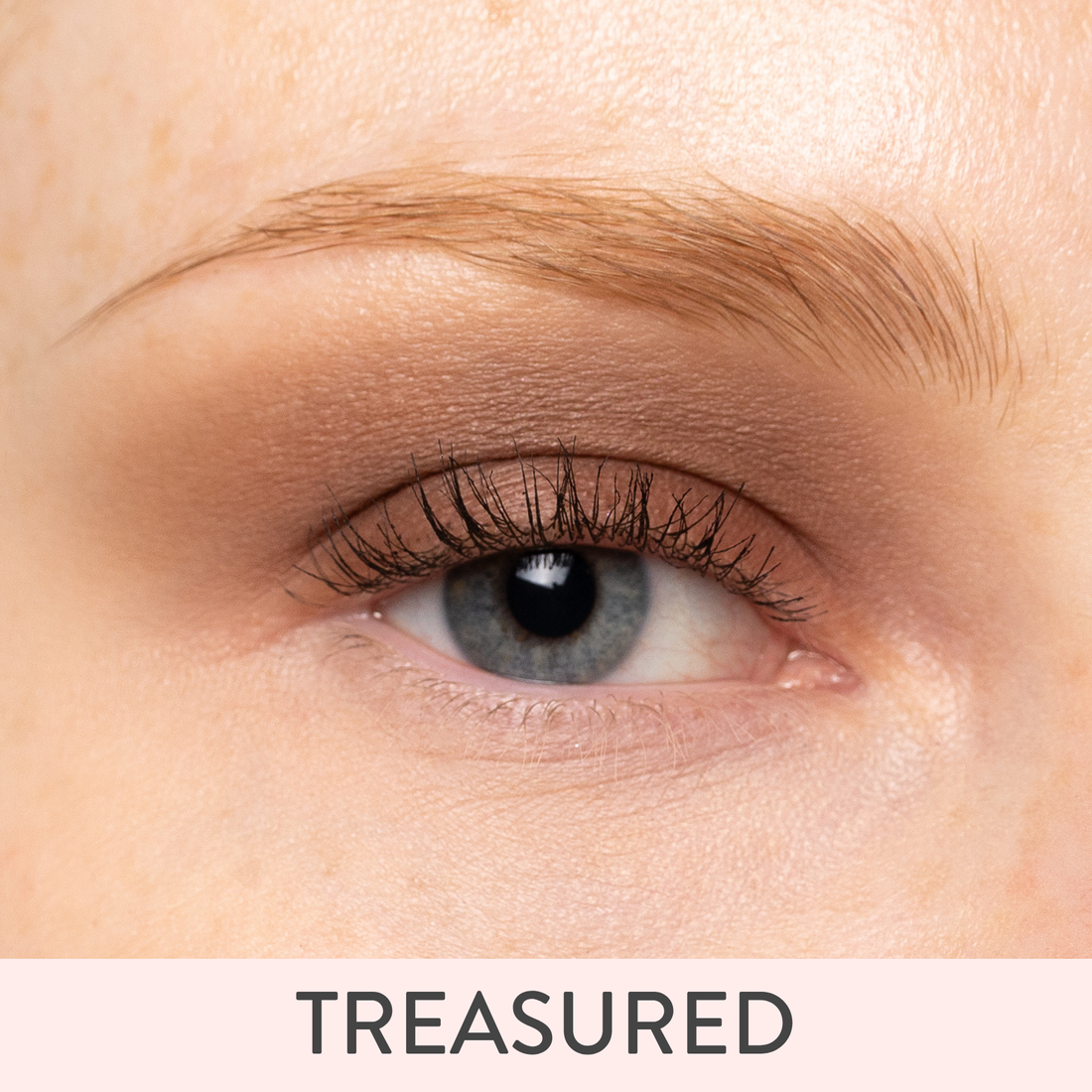 I'm a Treasure Magnetic Palette Bundle