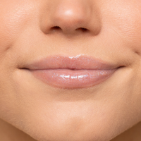 Blissful Bluebell Bundle