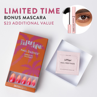Amanda's One & Done Business Kit