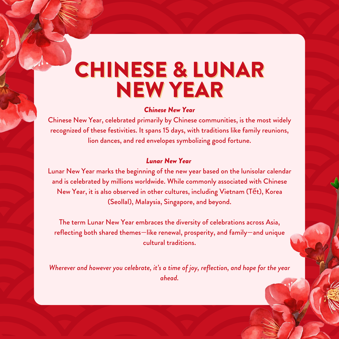 Blooming Into Spring, Nhi