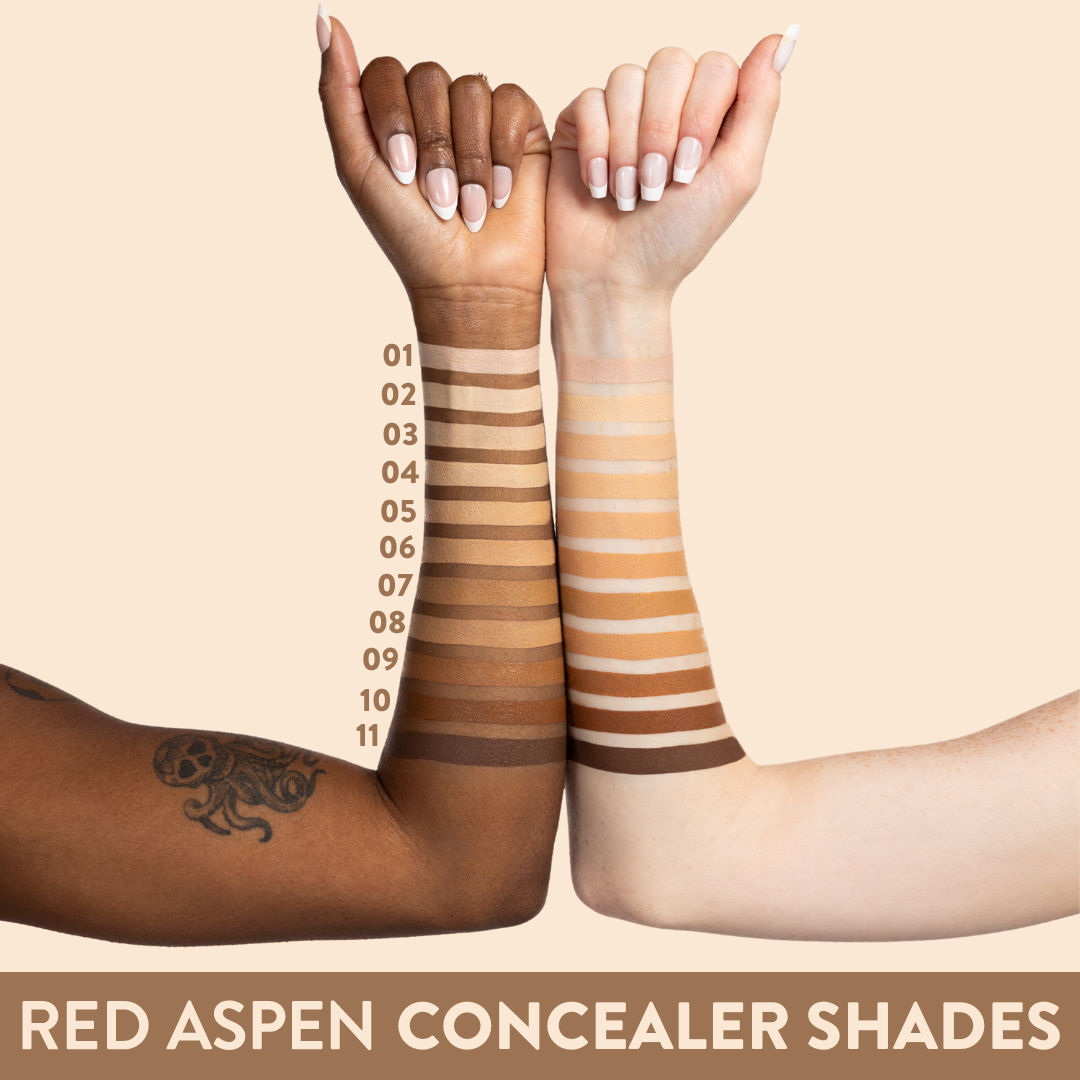 Concealer + Skin Tint Bundle