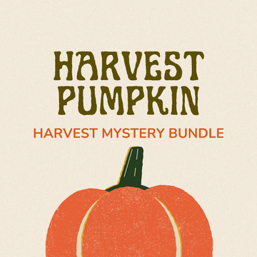 Harvest Pumpkin Bundle