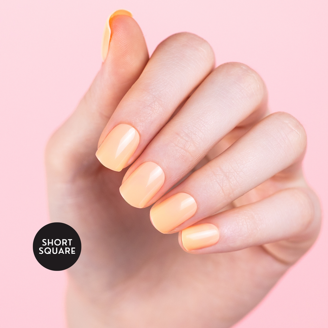 Kaitlyn's Living Coral