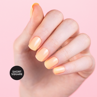 Kaitlyn's Living Coral
