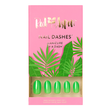 Succulents and Palms, Soleil