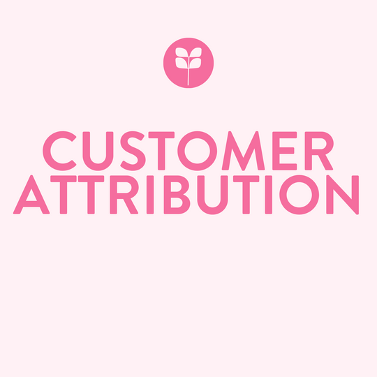 Customer Attribution