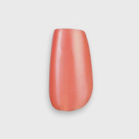 Apricot Afterglow, Amadi