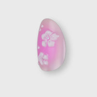 Hibiscus Bliss, Bowie