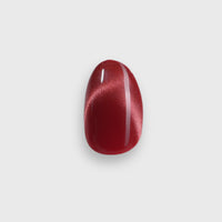 Read All Over, Fabia