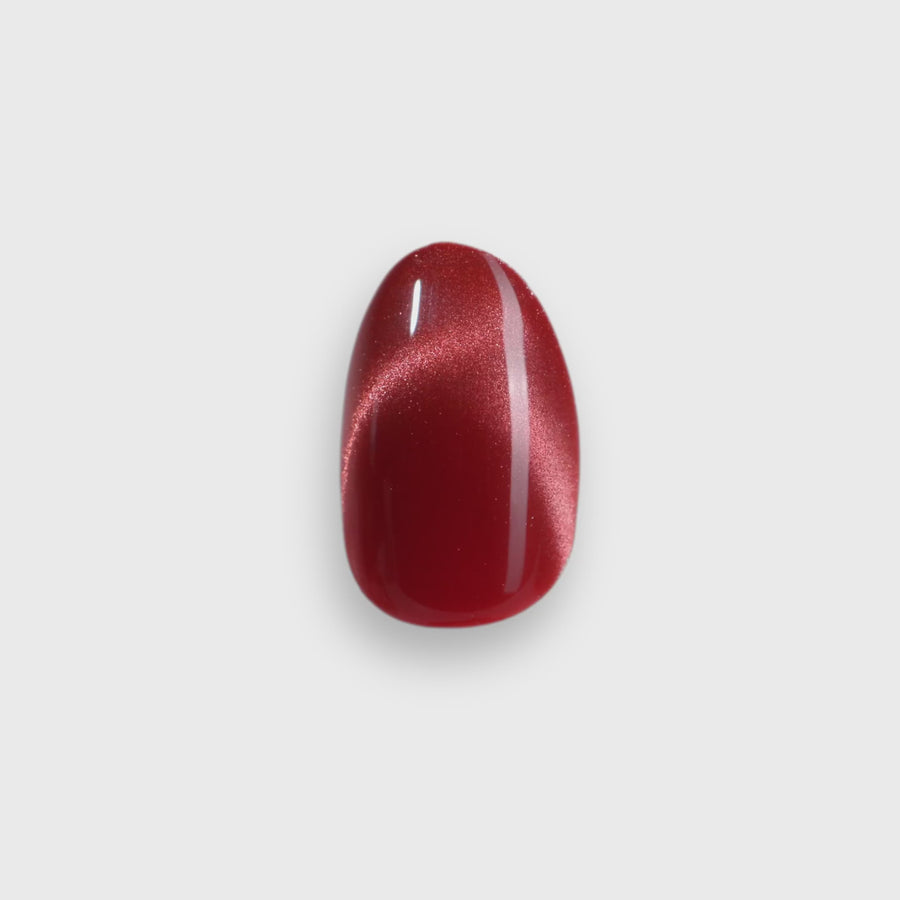 Read All Over, Fabia