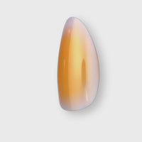 Candy Corn Cutie, Cody