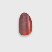 Pumpkin to Talk About, Marni